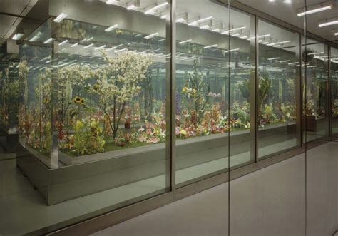 marc queen garden fondazione prada|Preserving Paradise. Marc Quinn’s ‘The Garden’ and our.